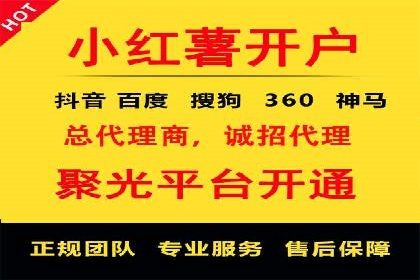 竞价推广中的着陆页策略：成功案例解读